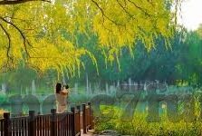 leyu乐鱼体育网址-Leyu乐鱼体育，汇聚全球体育娱乐的在线平台